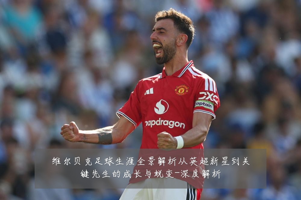 维尔贝克足球生涯全景解析从英超新星到关键先生的成长与蜕变-深度解析